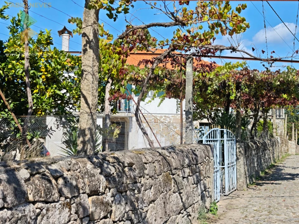 Quinta T5 para Venda em Correlhã Foto 9