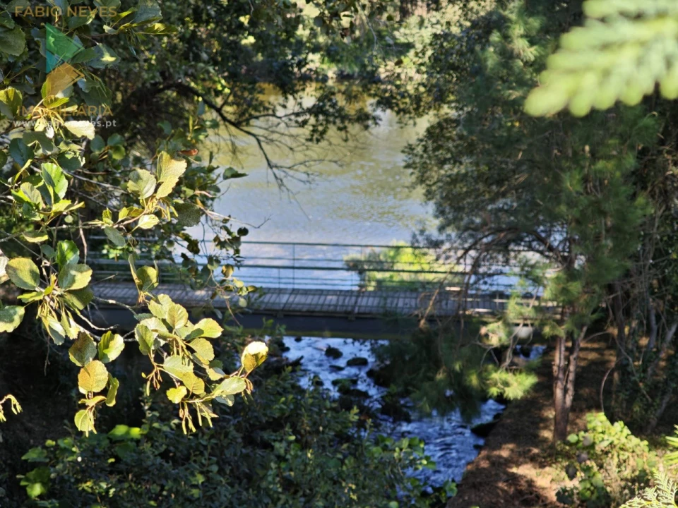 Quinta T5 para Venda em Correlhã Foto 2