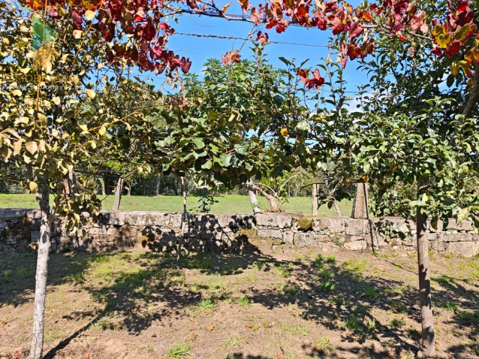 Quinta T5 para Venda em Correlhã Foto 40