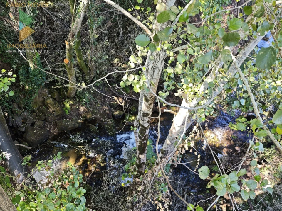 Quinta T5 para Venda em Correlhã Foto 52