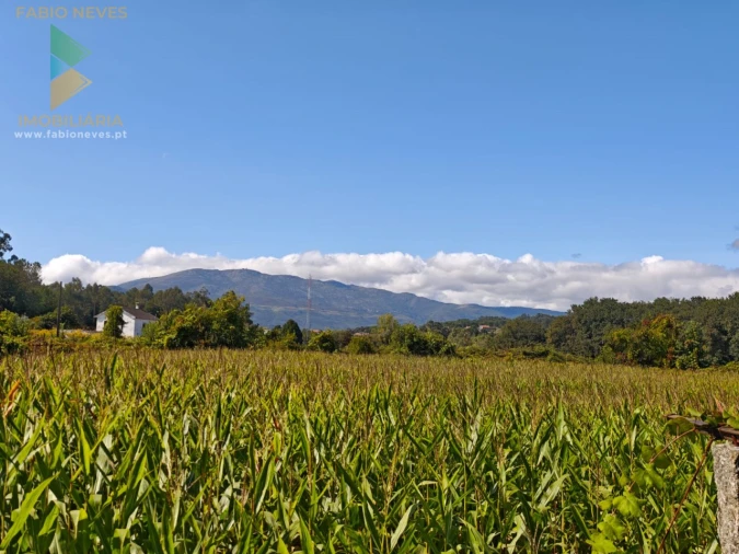 Quinta T5 para Venda em Correlhã Foto 48