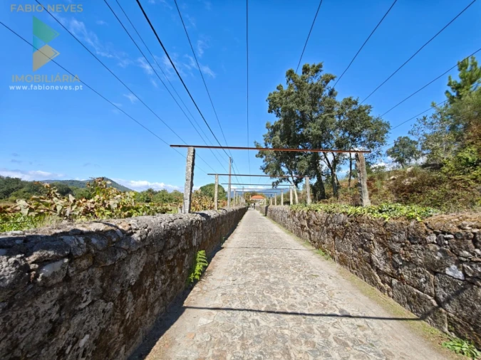 Quinta T5 para Venda em Correlhã Foto 4