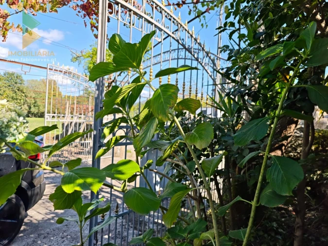 Quinta T5 para Venda em Correlhã Foto 18