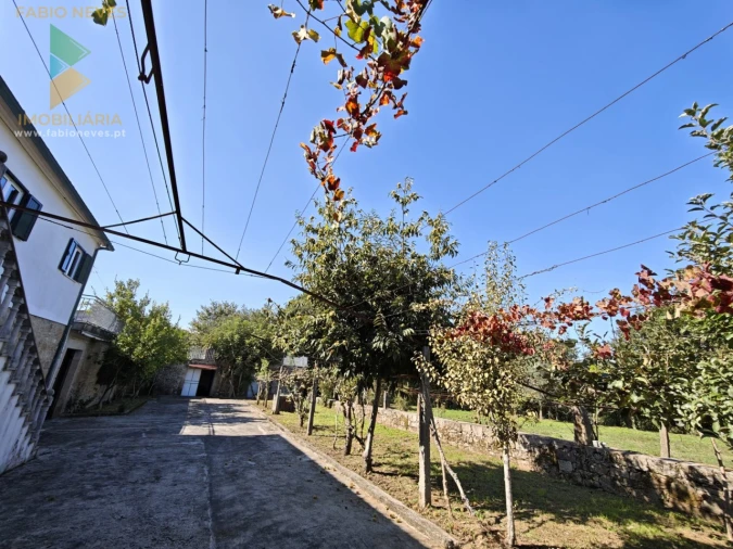 Quinta T5 para Venda em Correlhã Foto 35