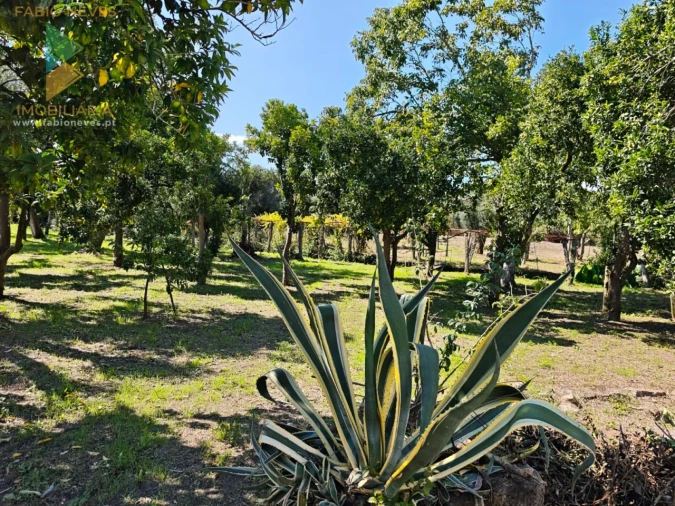 Quinta T5 para Venda em Correlhã Foto 36