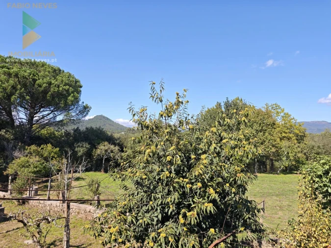 Quinta T5 para Venda em Correlhã Foto 53