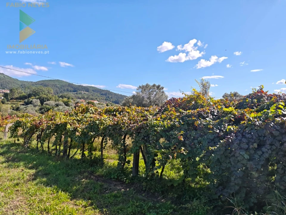 Moradia T4 para Venda em Labruja Foto 5