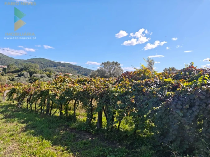 Moradia T4 para Venda em Labruja Foto 5