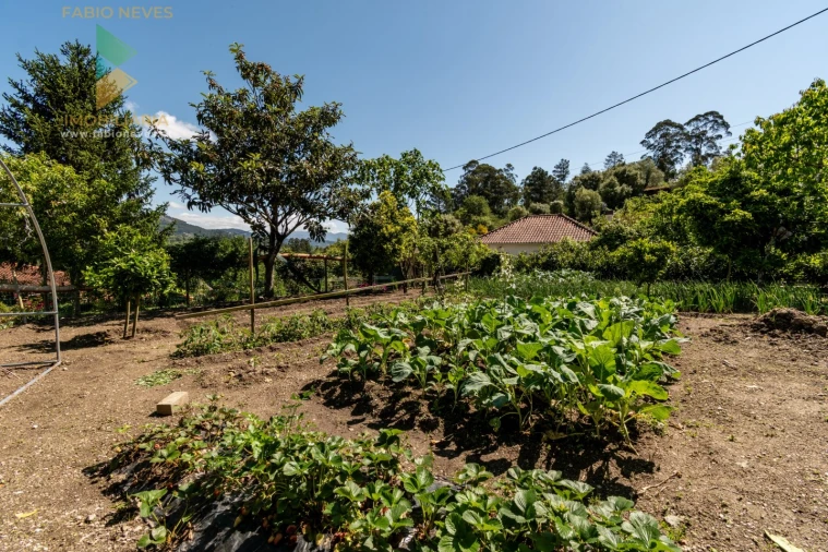 Quinta T4 para Venda em Gemieira Foto 22