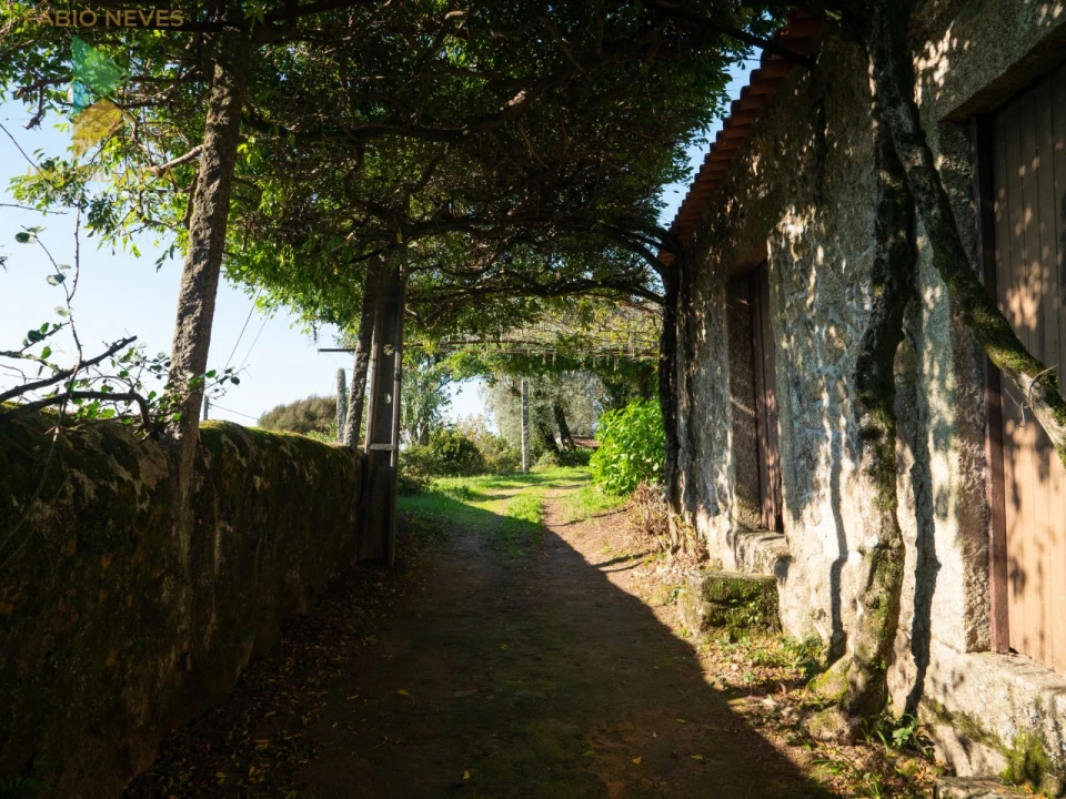 Quinta T6 para Venda em Subportela, Deocriste e Portela Susã Foto 14