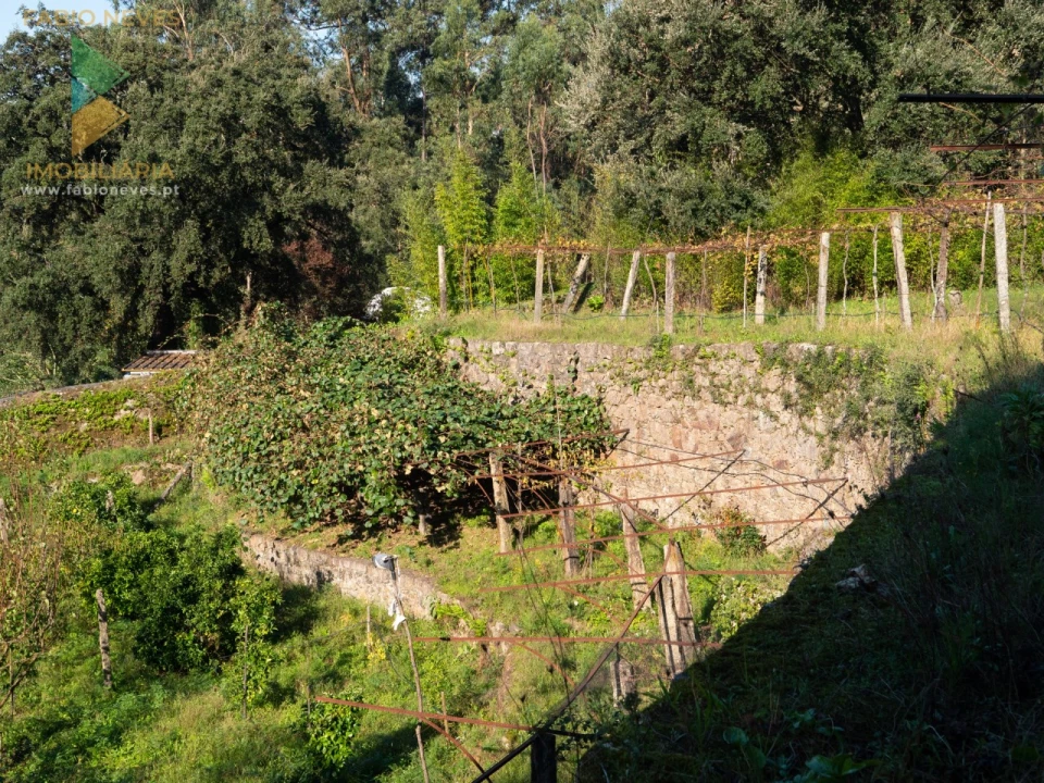 Quinta T6 para Venda em Subportela, Deocriste e Portela Susã Foto 26