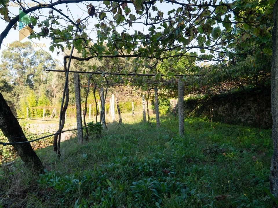 Quinta T6 para Venda em Subportela, Deocriste e Portela Susã Foto 27