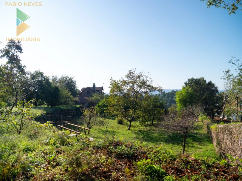Quinta T6 para Venda em Subportela, Deocriste e Portela Susã Foto 42