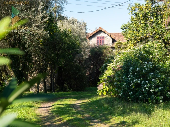 Quinta T6 para Venda em Subportela, Deocriste e Portela Susã Foto 16