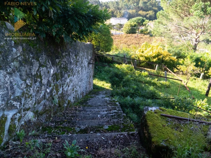 Quinta T6 para Venda em Subportela, Deocriste e Portela Susã Foto 24