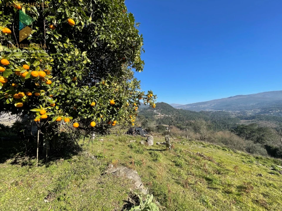 Quinta T5 para Venda em Merufe Foto 8