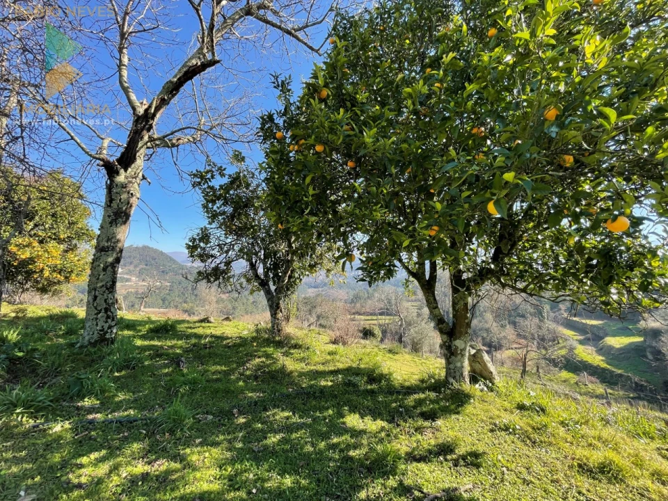 Quinta T5 para Venda em Merufe Foto 29