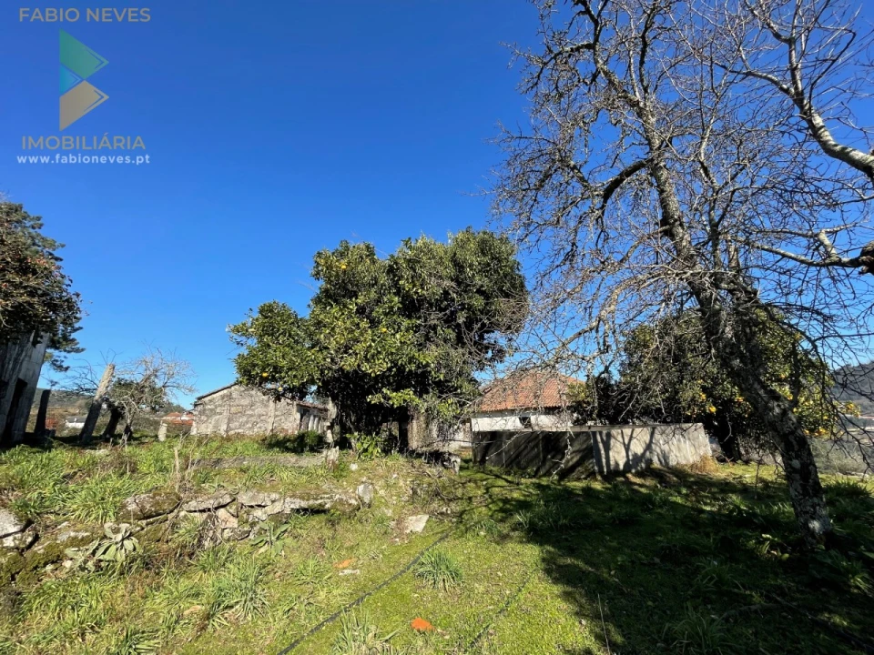 Quinta T5 para Venda em Merufe Foto 1