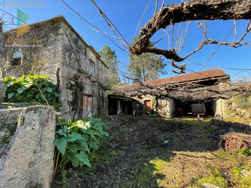 Quinta T5 para Venda em Merufe Foto 30