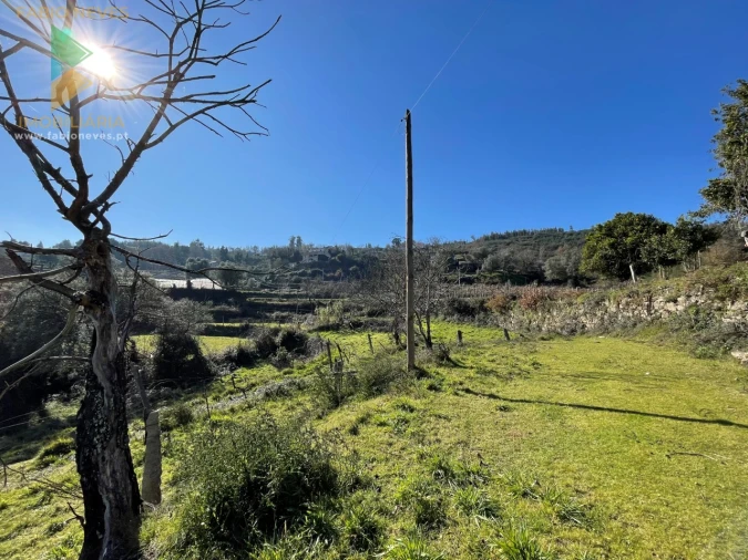 Quinta T5 para Venda em Merufe Foto 17