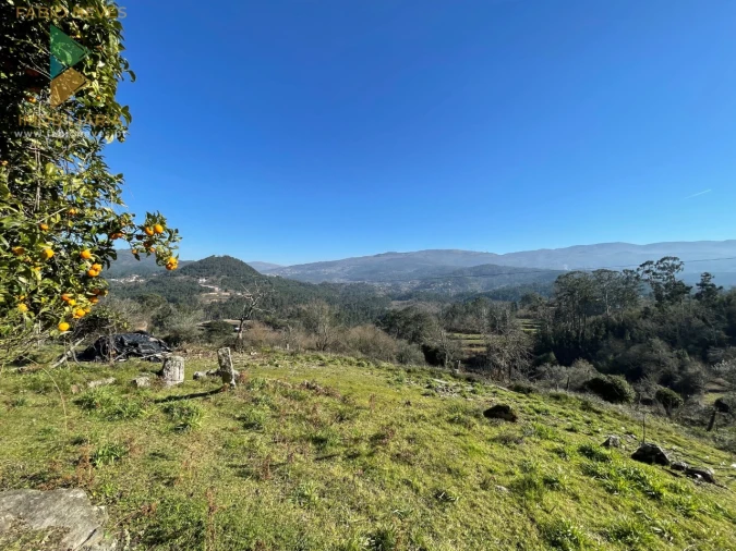 Quinta T5 para Venda em Merufe Foto 31