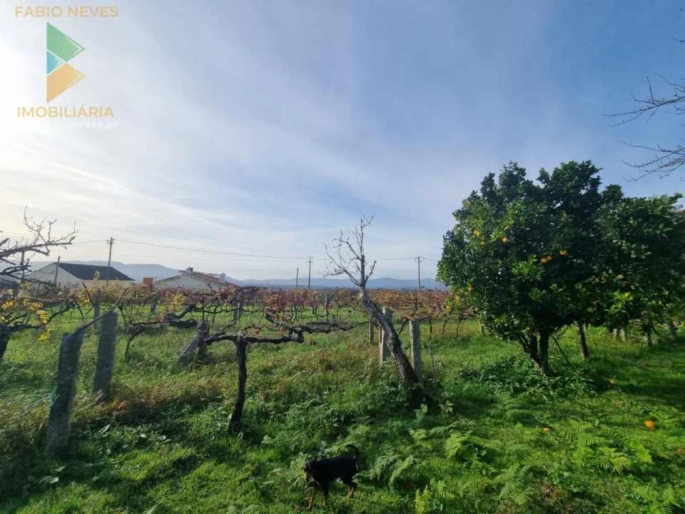 Moradia T6 para Venda em Cerdal Foto 36