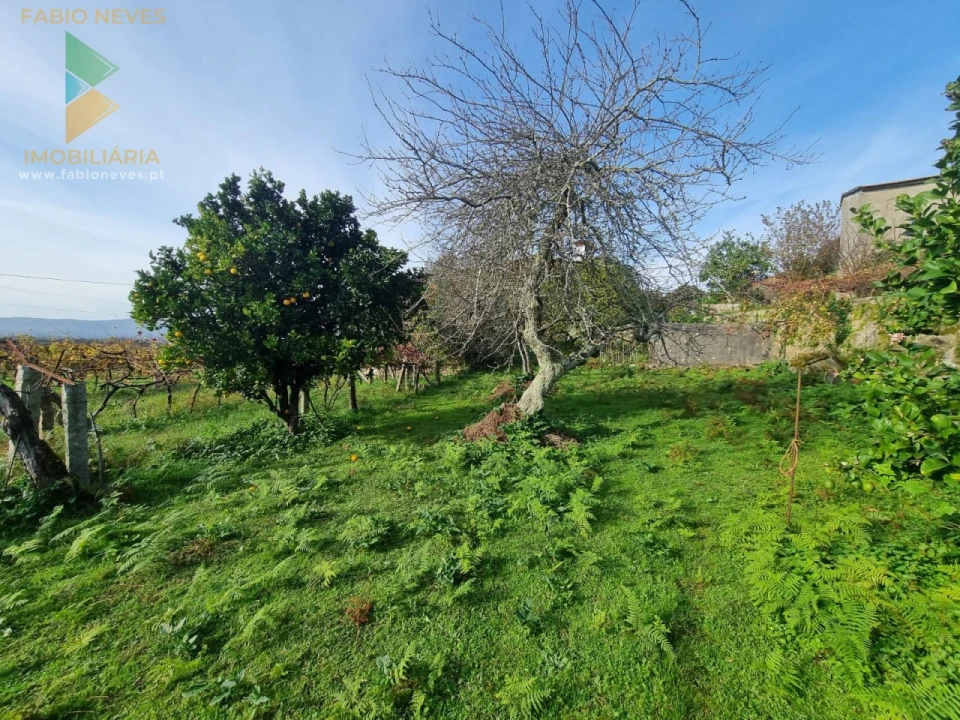 Moradia T6 para Venda em Cerdal Foto 39