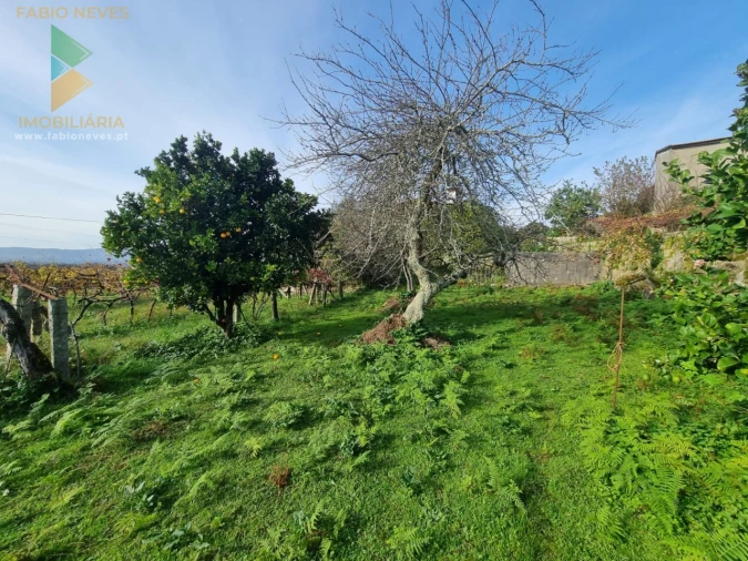 Moradia T6 para Venda em Cerdal Foto 39