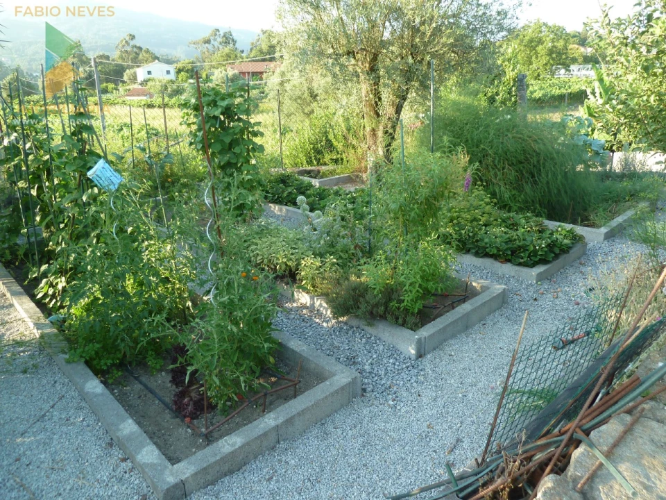 Moradia T4 para Venda em Gemieira Foto 56