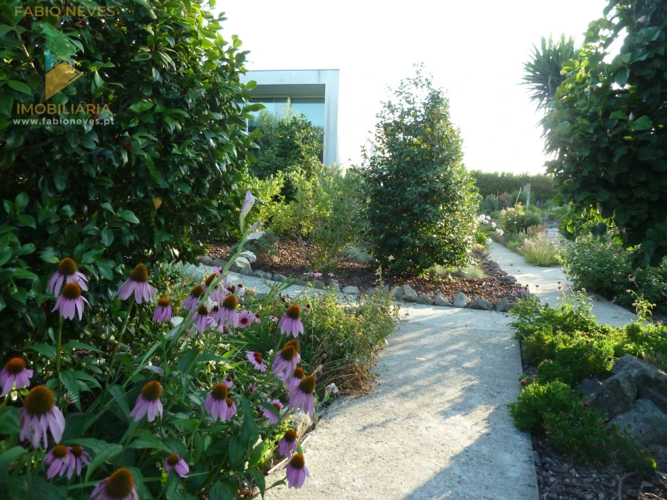 Moradia T4 para Venda em Gemieira Foto 43