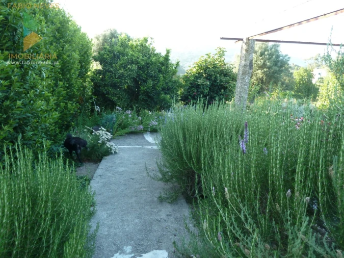 Moradia T4 para Venda em Gemieira Foto 44