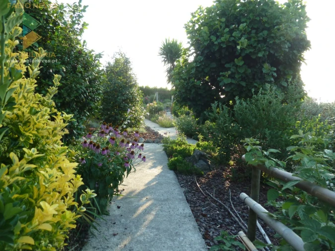 Moradia T4 para Venda em Gemieira Foto 58