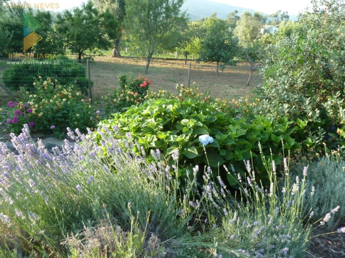 Moradia T4 para Venda em Gemieira Foto 60