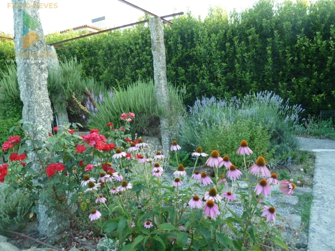 Moradia T4 para Venda em Gemieira Foto 63