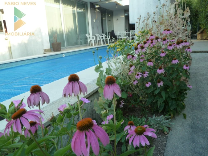 Moradia T4 para Venda em Gemieira Foto 8