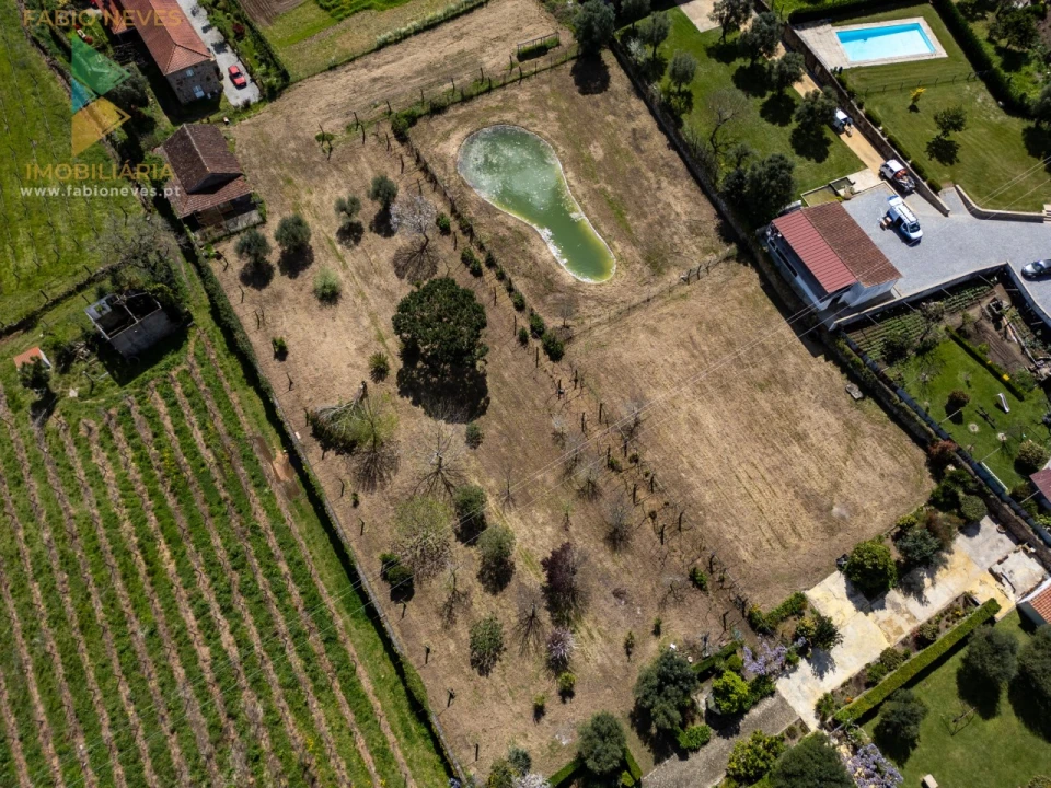 Quinta T6 para Venda em Correlhã Foto 4