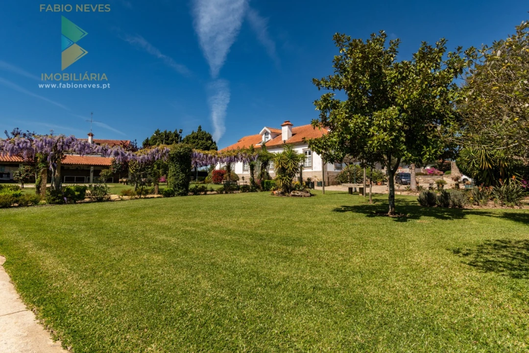 Quinta T6 para Venda em Correlhã Foto 8