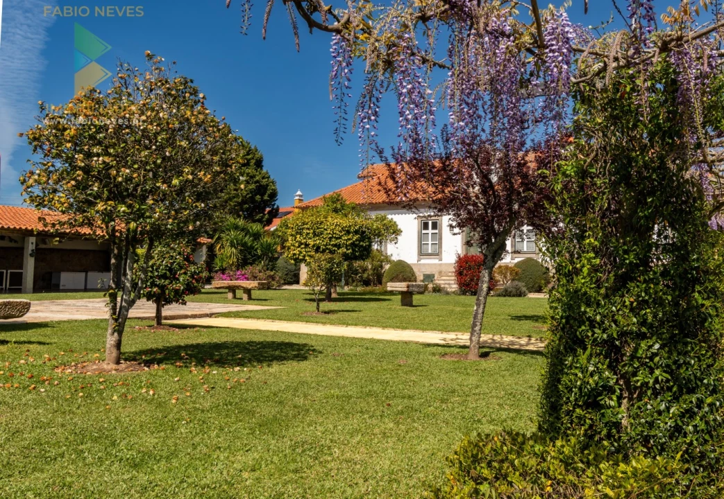 Quinta T6 para Venda em Correlhã Foto 11