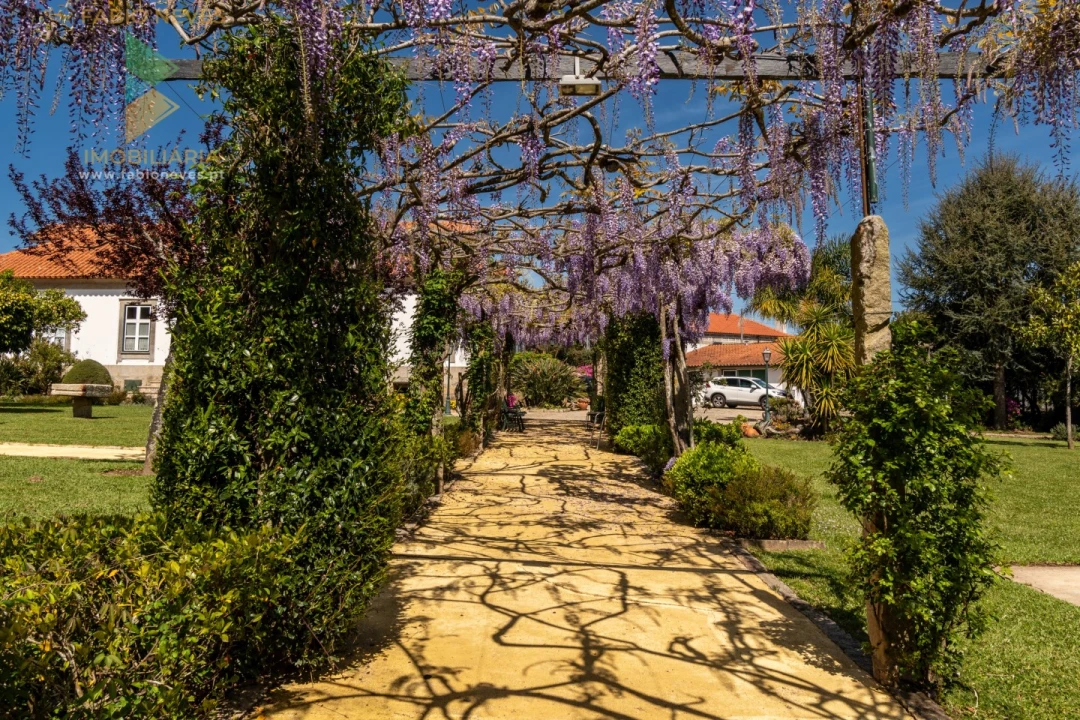 Quinta T6 para Venda em Correlhã Foto 12