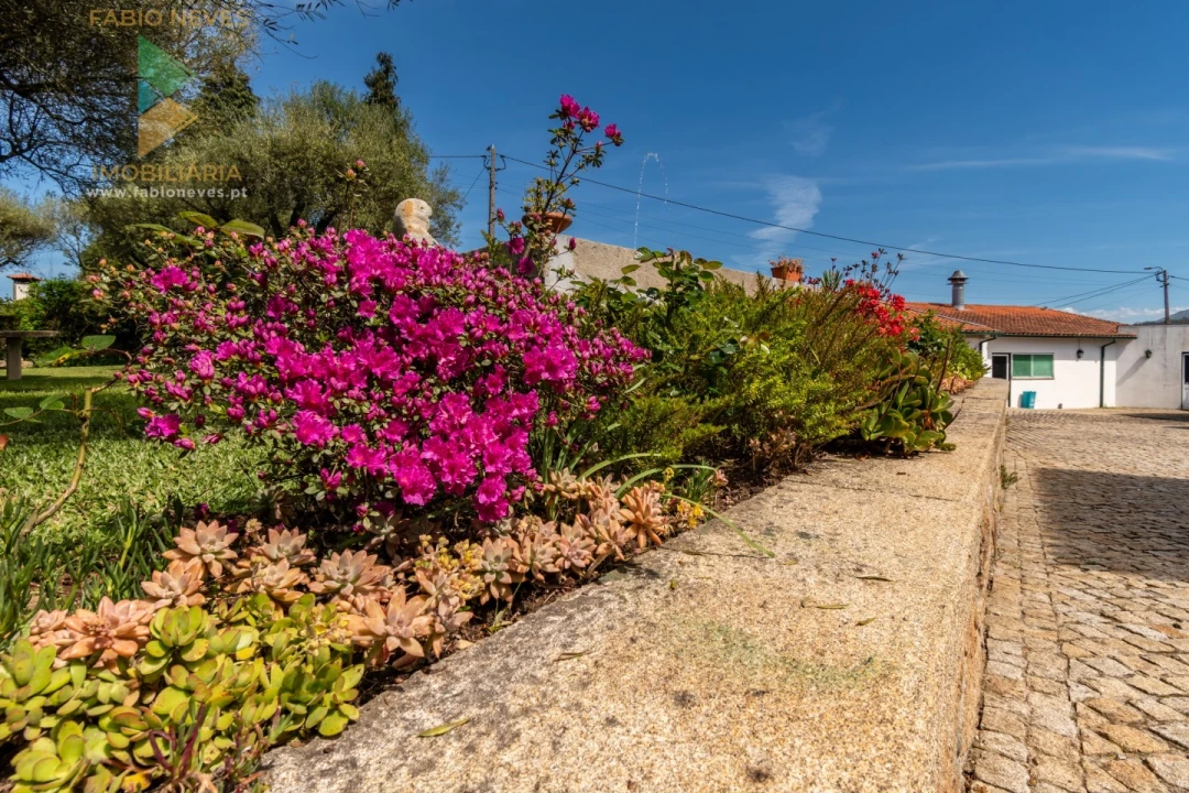 Quinta T6 para Venda em Correlhã Foto 33