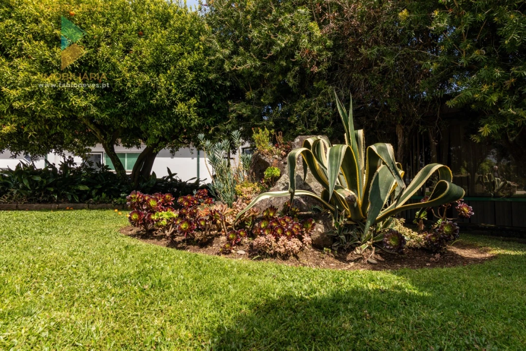 Quinta T6 para Venda em Correlhã Foto 34