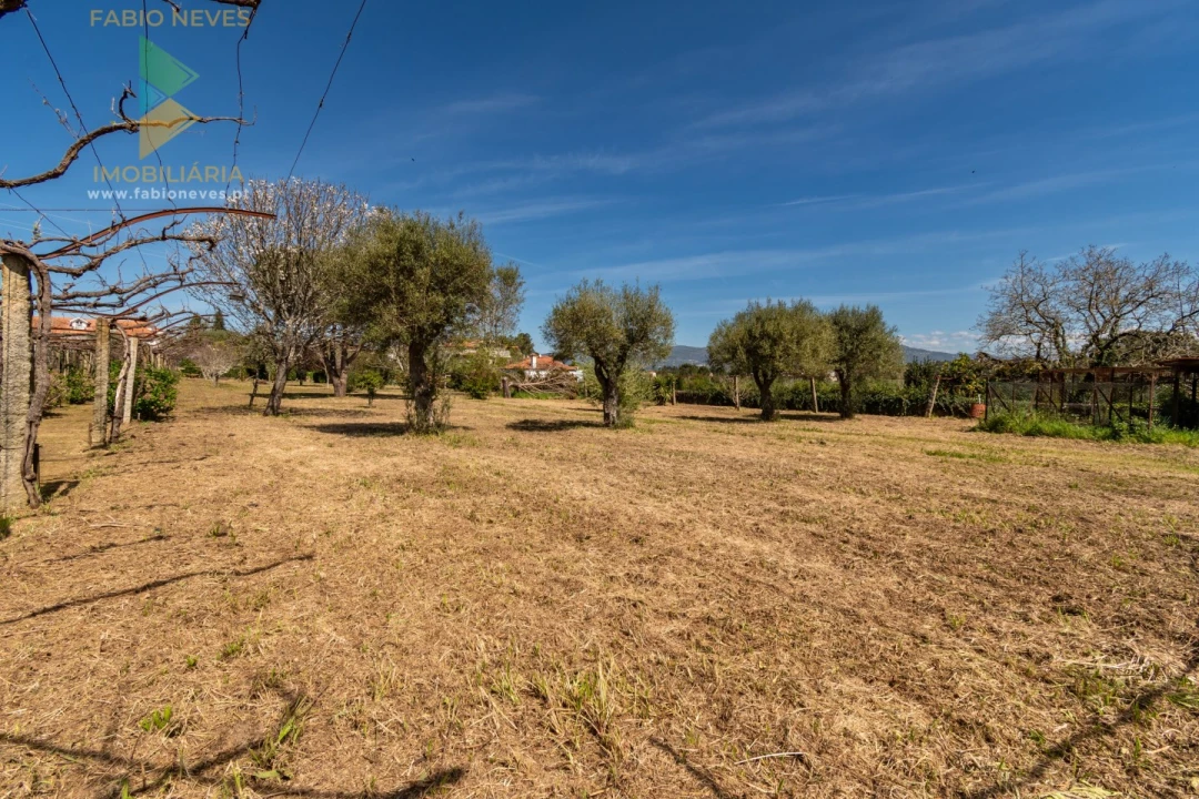Quinta T6 para Venda em Correlhã Foto 43