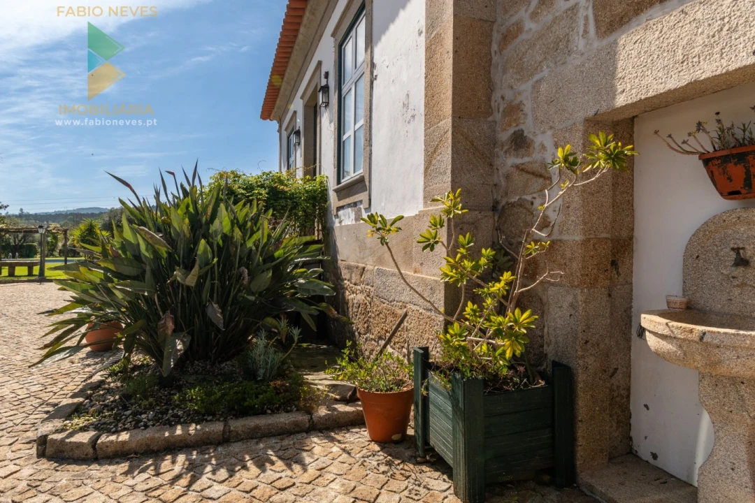 Quinta T6 para Venda em Correlhã Foto 50