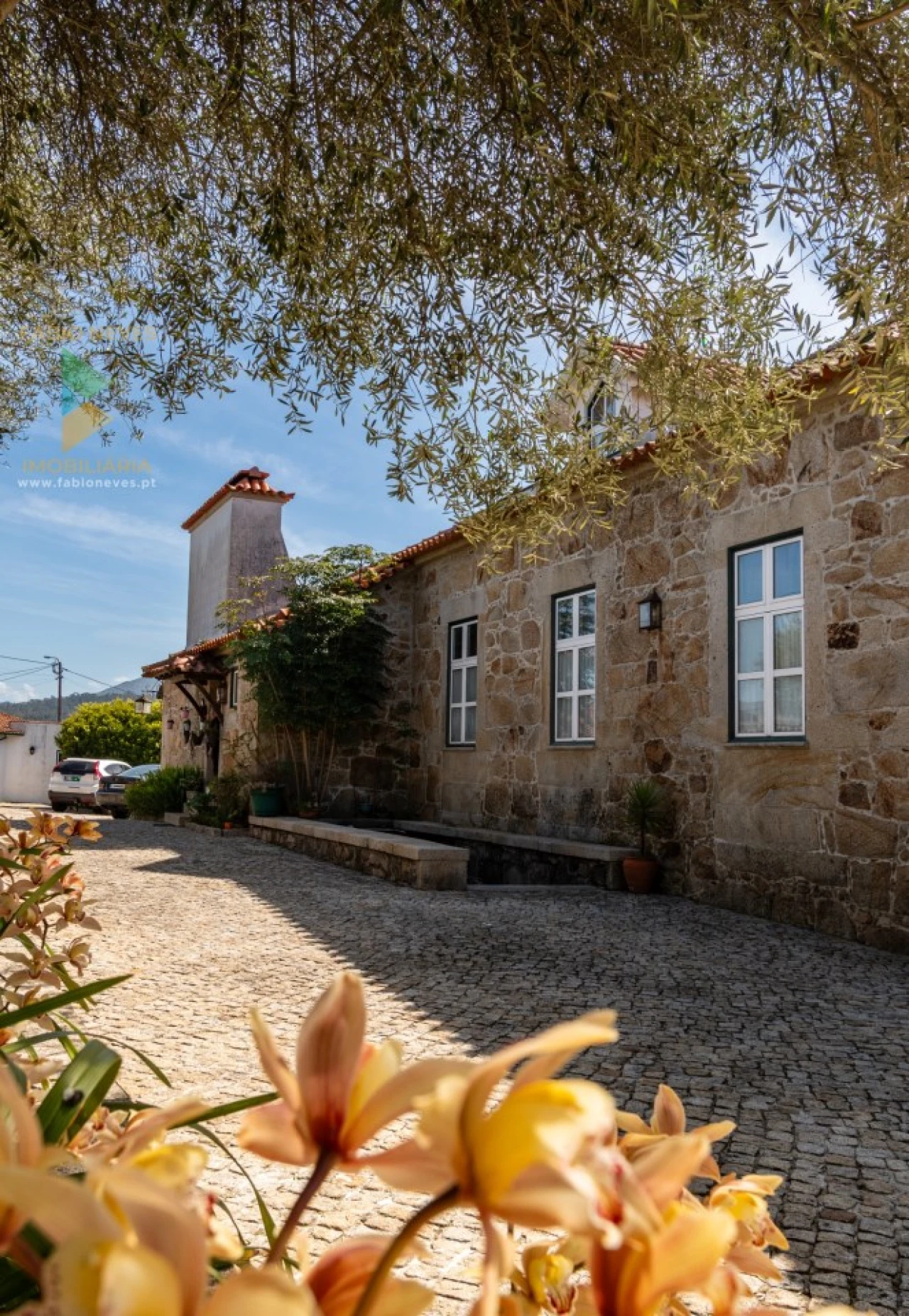 Quinta T6 para Venda em Correlhã Foto 51