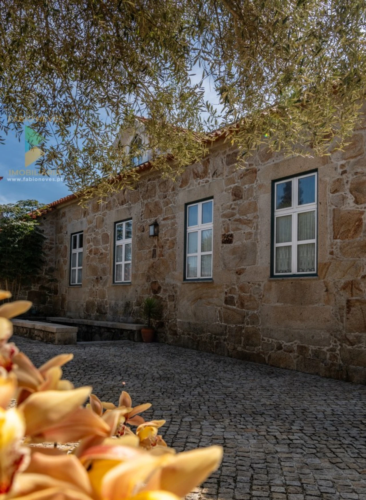 Quinta T6 para Venda em Correlhã Foto 53