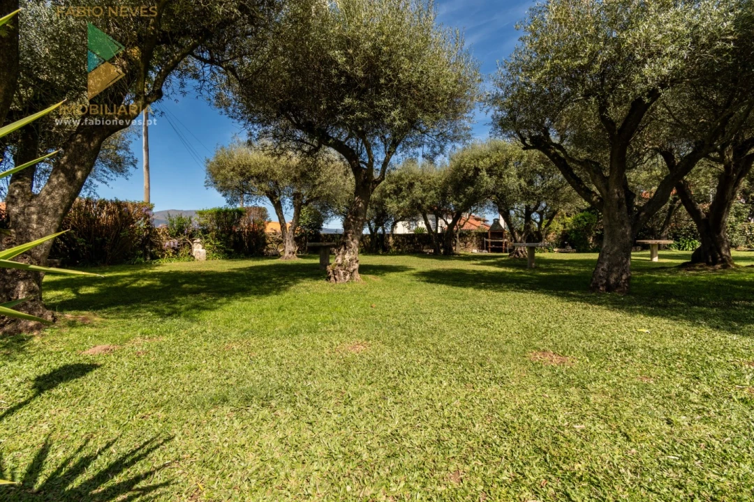 Quinta T6 para Venda em Correlhã Foto 56