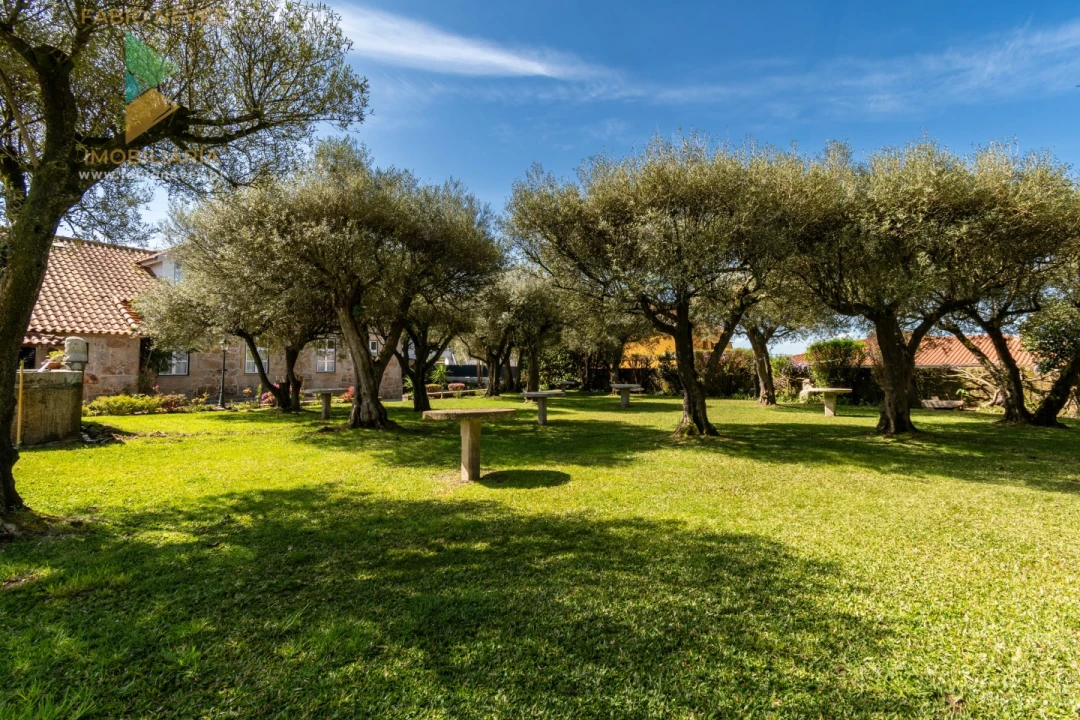 Quinta T6 para Venda em Correlhã Foto 64