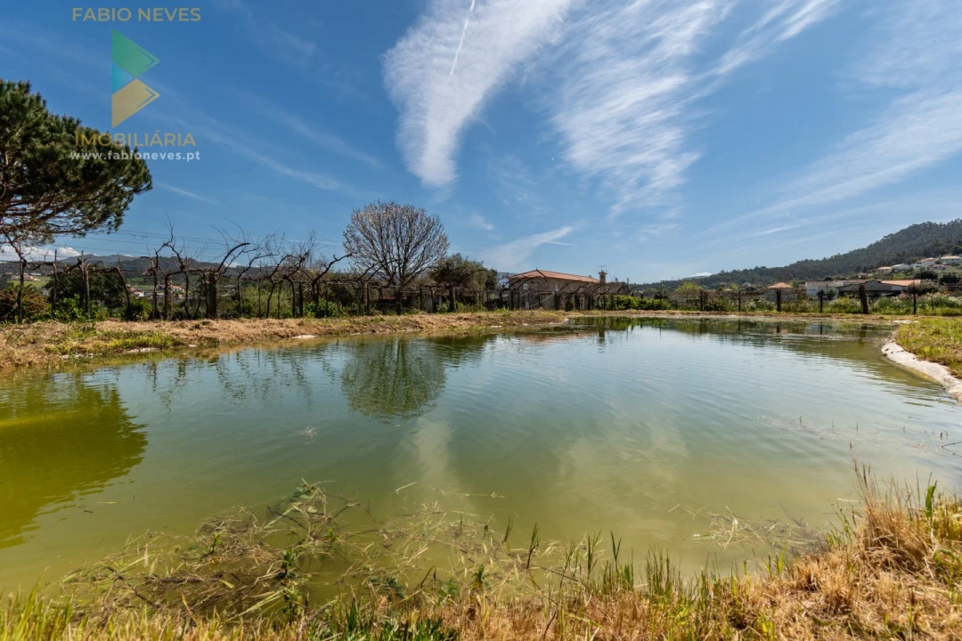 Quinta T6 para Venda em Correlhã Foto 73