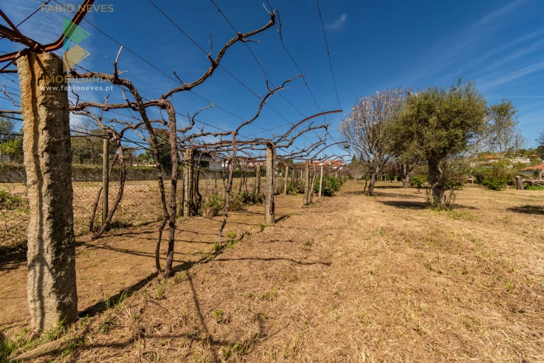 Quinta T6 para Venda em Correlhã Foto 75