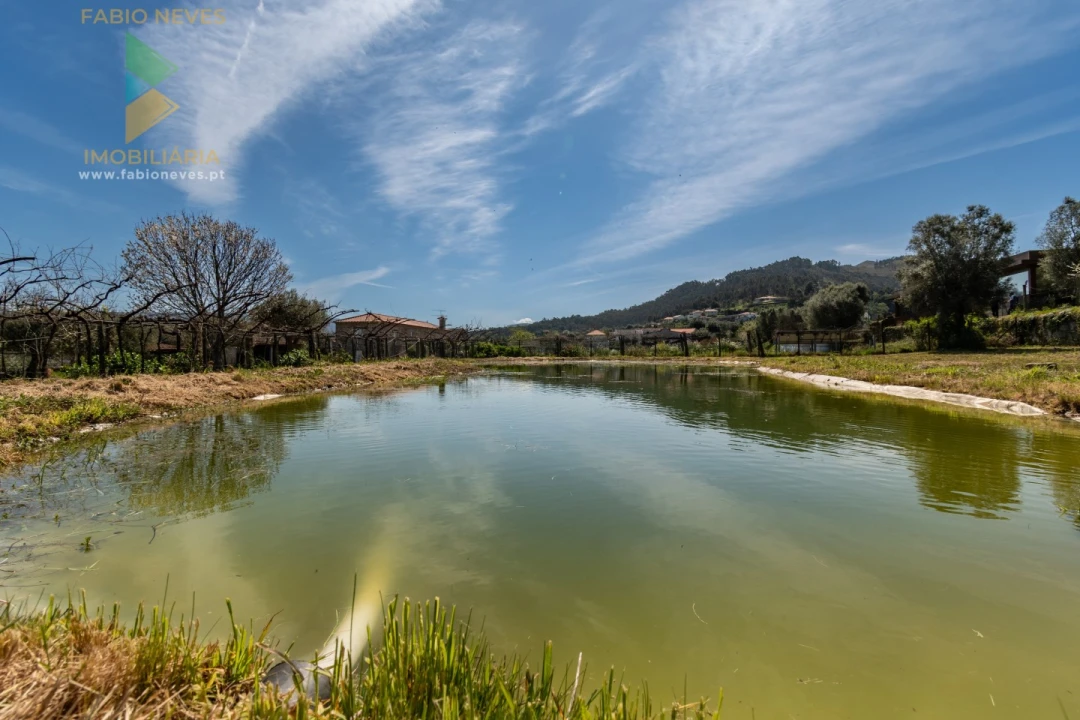 Quinta T6 para Venda em Correlhã Foto 76